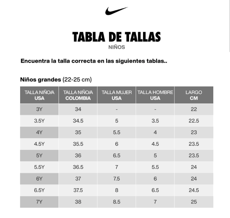 Zapatillas Niño Nike Court Borough Low 2 (GS)